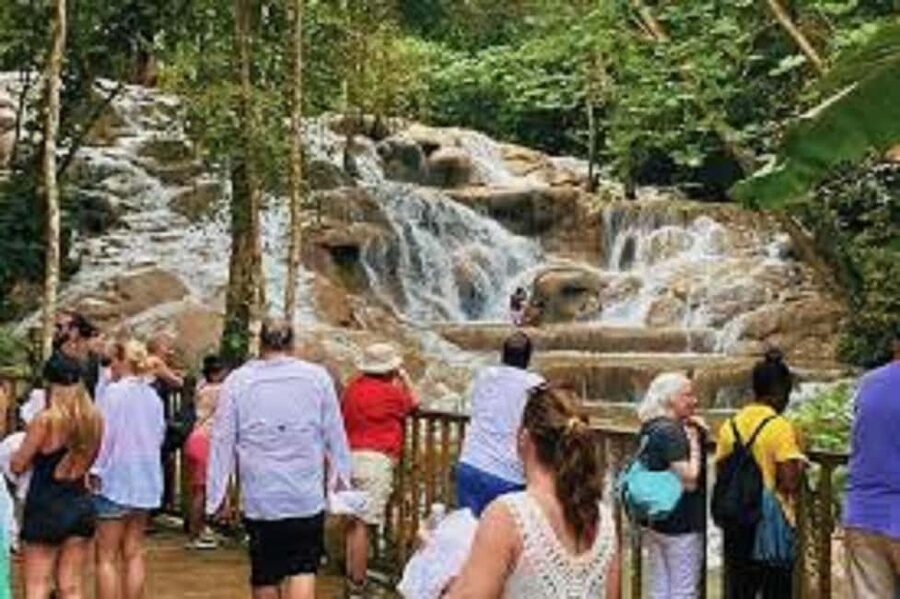 Dunn's River Falls Day Tour - Who this private tour is best for