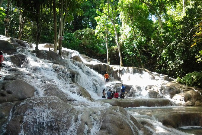 Dunn's River Falls excursion from Montego Bay - What You Need to Know Before You Go