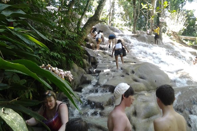 Dunn's River Falls excursion from Montego Bay - Transportation Comfort, Pickup Timing, and the 8:00 am Start