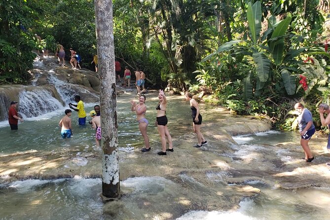 Dunn's River Falls Half Day Tour From Montego Bay - Should you book this half-day Dunn’s River tour from Montego Bay?