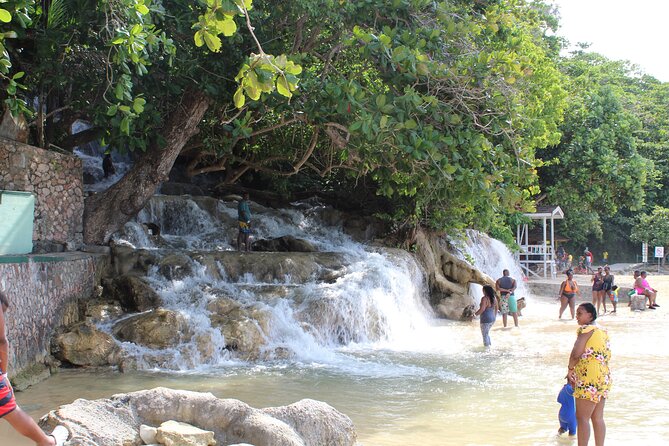 Dunn's River Falls Jamaica/Montego Bay/Falmouth - Private and Group-Discount Friendly: How It Changes the Experience