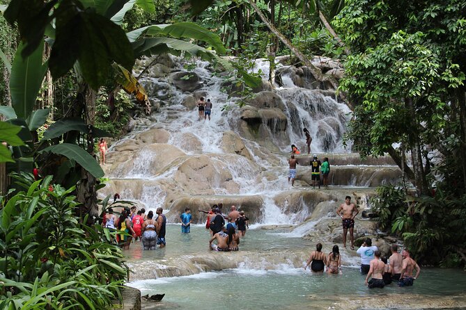 Dunn's River Falls Jamaica/Montego Bay/Falmouth - Getting There Comfortably: What the Ride Means for Your Day