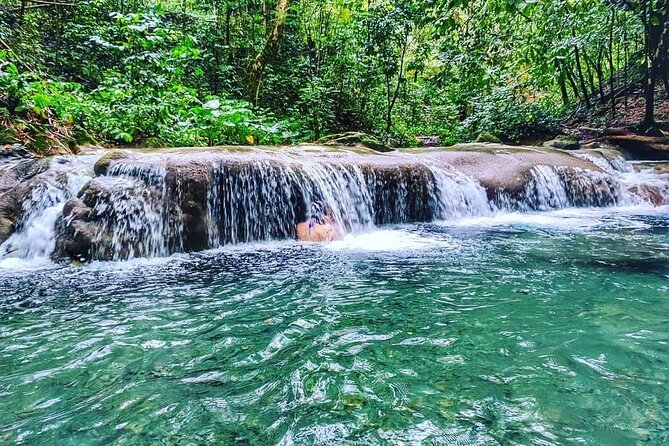 Dunn's River Falls & Luminous Lagoon Guided Tour from Montego Bay - Price and Logistics: Is $145 Good Value?