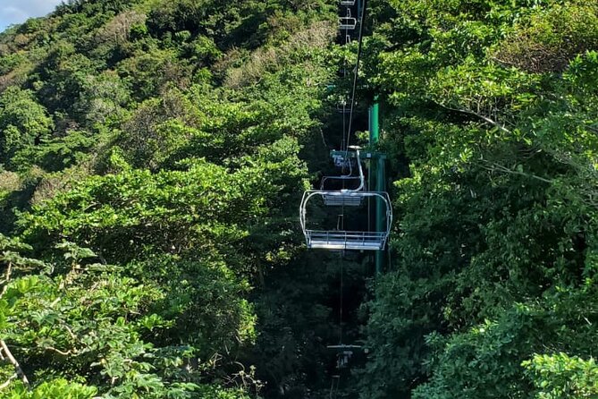 Dunn’s River Falls,Zip lining & horseback riding Combo tour from Montego Bay - Private Tour Feel: What Changes When It’s Just Your Group