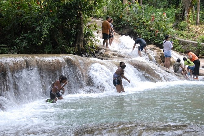Dunn's River Tour from Falmouth - The Scotchies Stop: Jerk Chicken, Pork, and a Real Local Break