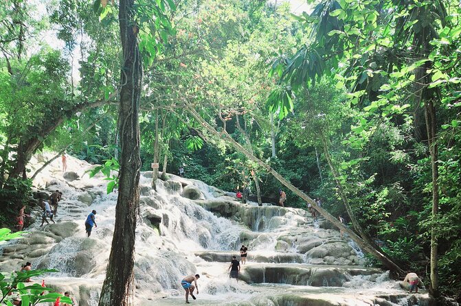 Dunns River Falls & Blue Hole Combo from Montego Bay with Pick Up - Blue Hole: Low Jumps, Rope Swing, and Swim Coaching