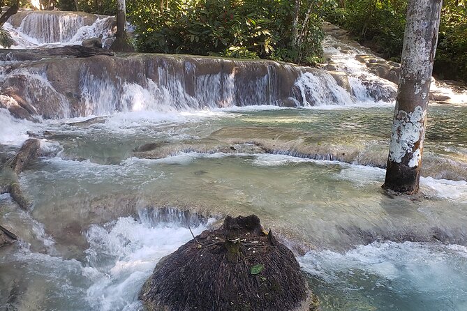 Dunns River Falls Experience from Montego Bay Resorts - Dunn’s River Falls: The terraced climb that meets the sea