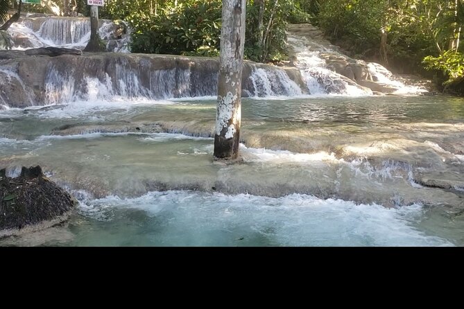 Dunns River Falls Experience from Montego Bay Resorts - Tranquility Gardens: a calm buffer before you get wet