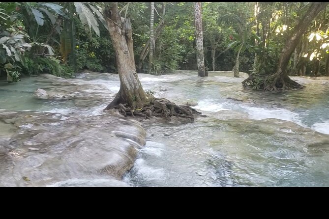 Dunns River Falls Experience from Montego Bay Resorts - Group setup, private tour expectations, and who this fits