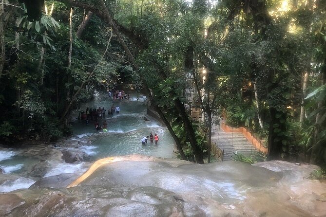 Dunns River Falls Private Day Tour - Private Dunn’s River, the Montego Bay way: why this format feels easier
