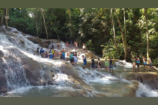 Dunns River Falls Private Day Tour - Guides, driving, and the personal touch that makes the ride count