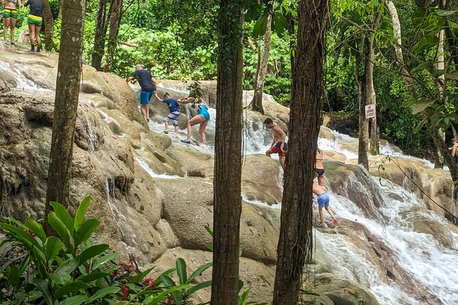 Dunns River Falls, Rafting, Zipline & Horseback from Montego Bay - The 30ft Bamboo Raft on the White River