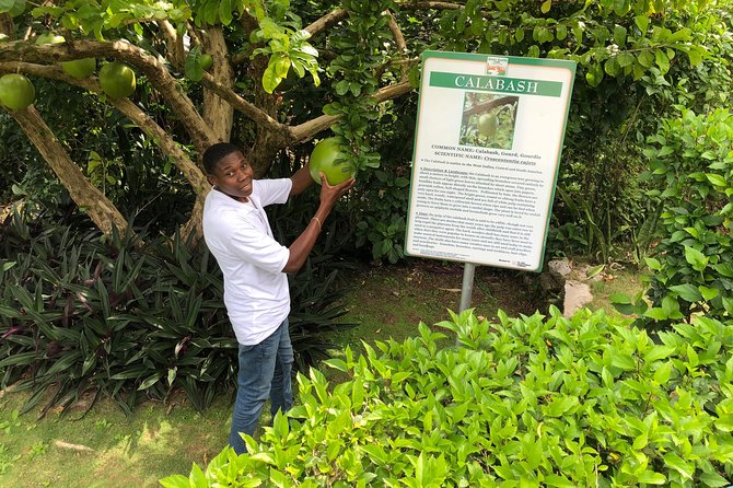 Explore Montego Bay Jamaica Private Tour to Green Gratto Cave - Optional Lunch and the Flexible Feel of a Private Route