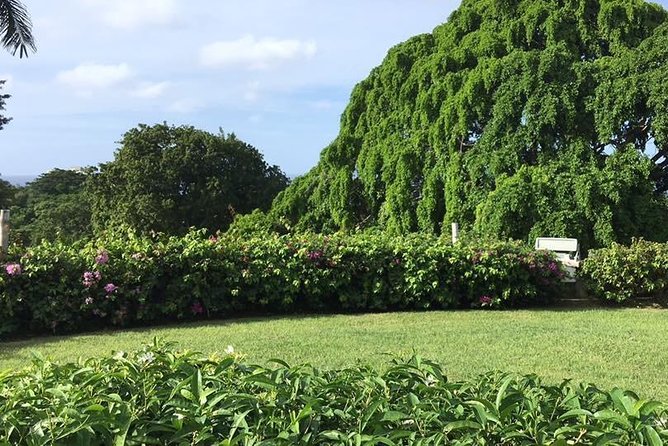 Explore Montego Bay Jamaica Rose Hall Great House Day/Night Tour - Getting from Montego Bay: pickup, mobile ticket, and timing