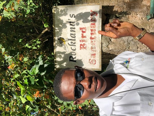 Explore Montego Bay Private Highlight Tour from Montego Bay - Your Driver Matters More Than You Think