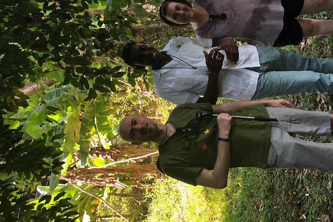 Explore Montego Bay Private Highlight Tour from Montego Bay - Value Check: What $70.52 Gets You, and What Can Cost Extra