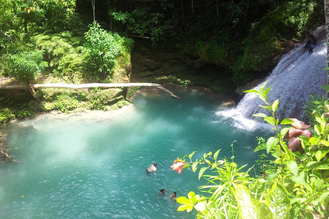Falmouth Dunns River Falls and Blue Hole Excursion - Key Things I’d Not Skip