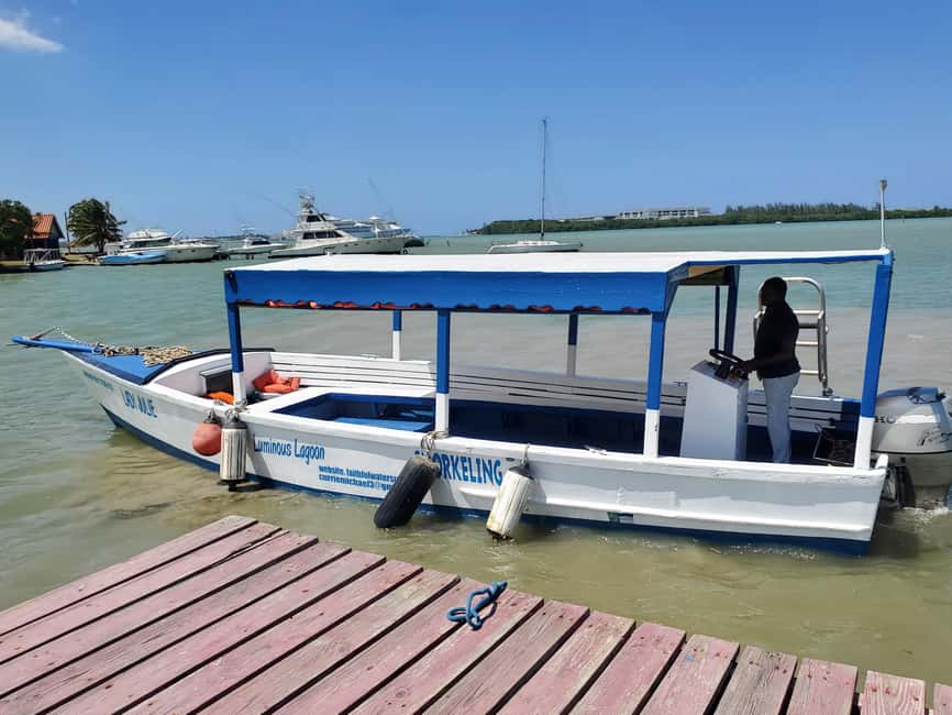 Falmouth: Luminous Lagoon Boat Tour - Meeting at Faithful Waters in Falmouth, plus what to bring