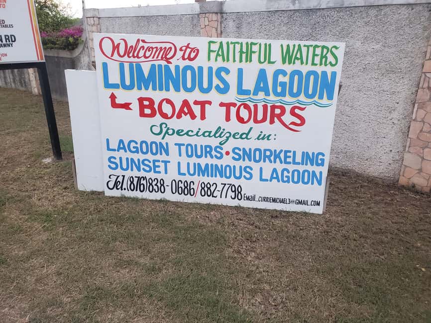 Falmouth: Luminous Lagoon Boat Tour - Price in context: $25 for a short, high-impact night