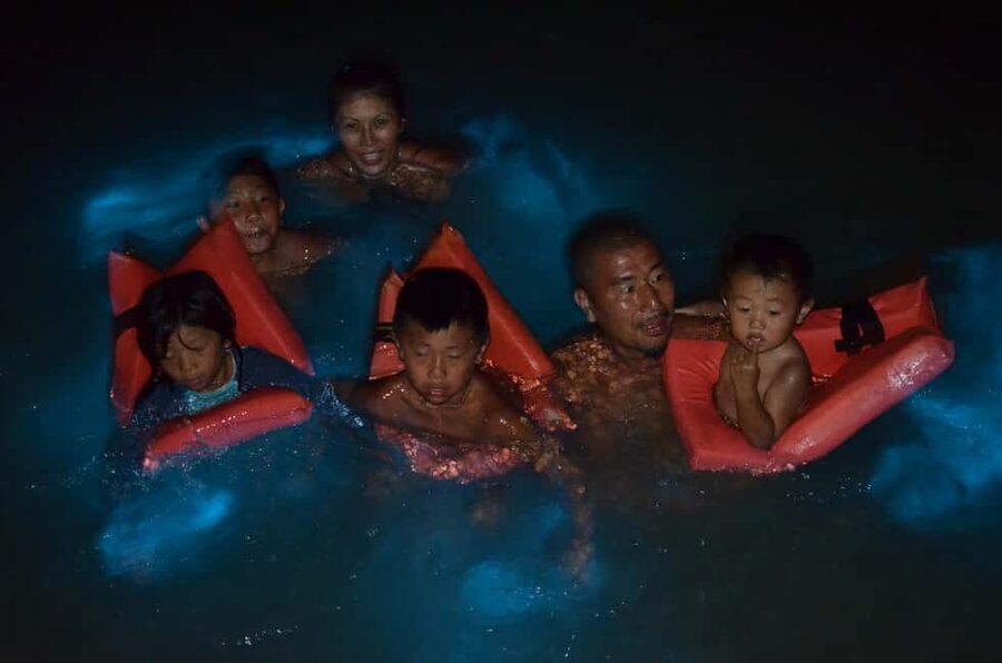 Falmouth: Luminous Lagoon Boat Tour - FAQ