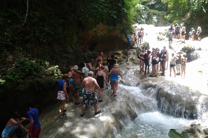 Falmouth Shore Excursion Blue Hole and Dunn's River Falls Combo - Group Size, Pacing, and What That Means for Your Comfort