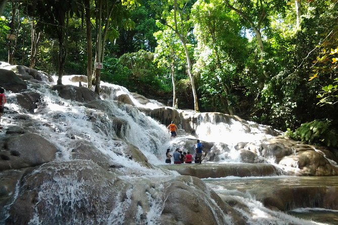 Falmouth Shore Excursion Dunn's River Falls - Key points that matter before you go
