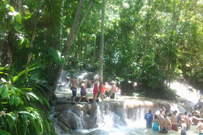 Falmouth Shore Excursion Dunn's River Falls - Family-friendly for different energy levels