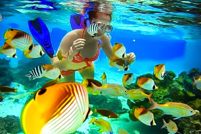Family Fun-Snorkeling with Lunch Stop from Montego Bay - Montego Bay snorkeling with lunch: a short day that actually feels complete