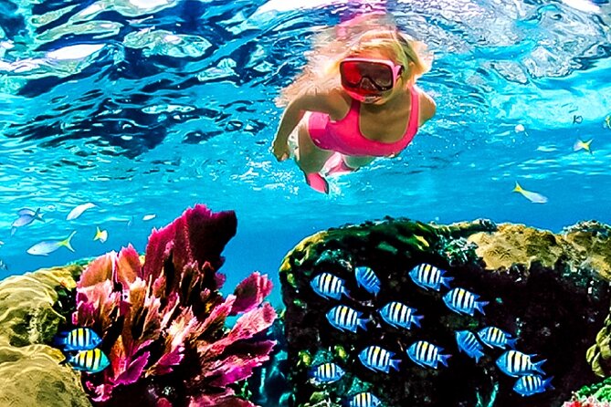 Family Fun-Snorkeling with Lunch Stop from Montego Bay - Speedboat transfer: quick, efficient, and family-friendly