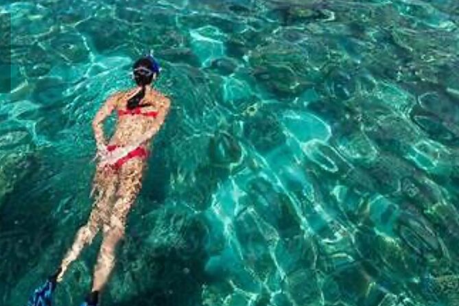 Family Fun-Snorkeling with Lunch Stop from Montego Bay - Equipment and getting comfortable in and out of the water