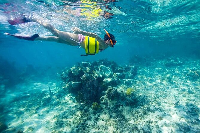 Family Fun-Snorkeling with Lunch Stop from Montego Bay - Lunch or early dinner: included stop, food is on you