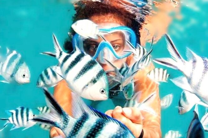 Family Fun-Snorkeling with Lunch Stop from Montego Bay - The ride from your hotel to the boat area
