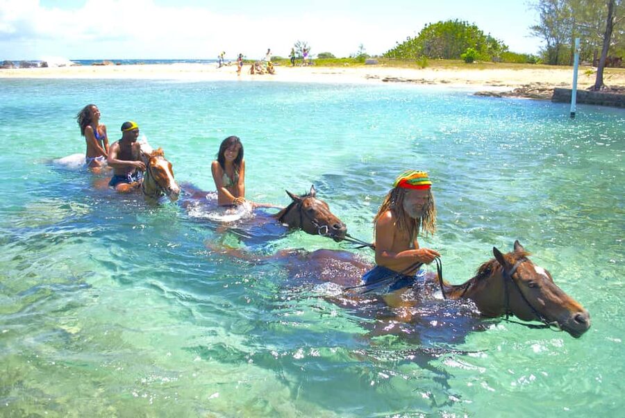 From Falmouth: Horseback Ride and Swim Beach Trip - Key highlights worth your attention