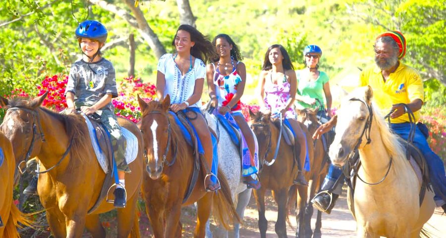 From Falmouth: Horseback Ride and Swim Beach Trip - Falmouth horseback ride and swim: the vibe in plain words