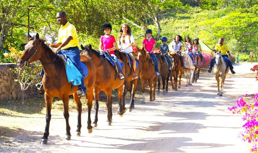 From Falmouth: Horseback Ride and Swim Beach Trip - The one downside to plan for: timing and the beach reality check