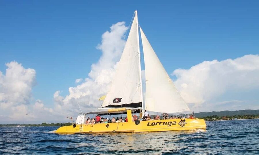 From Falmouth/Ocho Rios: Negril Beach and Catamaran Cruise - Key Points You Will Care About