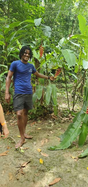From Montego Bay: Blue Hole Waterfall Experience - Rain, Clay, and the Rainforest Trail Detail You Should Not Ignore