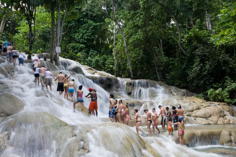 From Montego Bay: Dunn’s River Falls Experience - Quick hits you’ll care about
