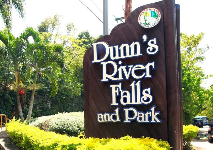 From Montego Bay: Dunn’s River Falls Experience - Service quality, drivers, and what to know about tipping