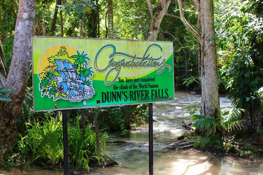 From Montego Bay: Dunn’s River Falls Experience - Swimming time and the beach where the falls meet the sea