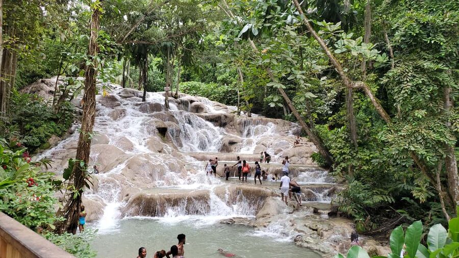 From Montego Bay: Dunn’s River Falls Experience - Who this tour fits best, and who should skip it