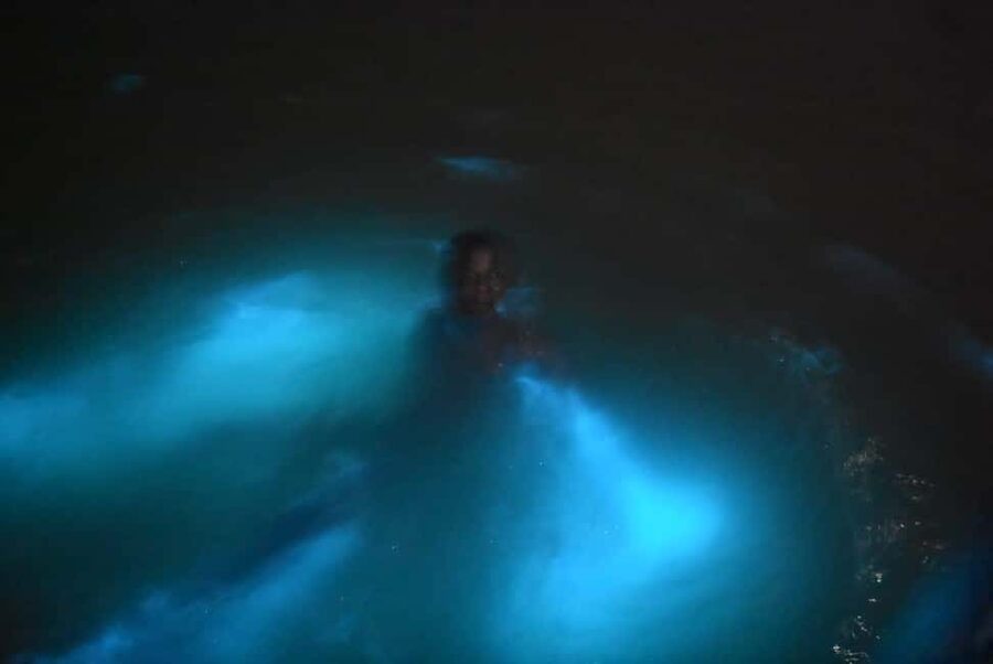 From Montego Bay: Luminous Lagoon Night Tour - The 3-Hour Flow: Check In, Boat Tour, Then the Blue Light Moment