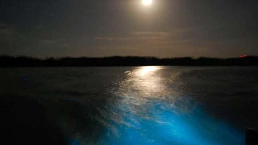 From Montego Bay: Luminous Lagoon Nighttime Boat Tour - Montego Bay pickup and the 3-hour timing reality