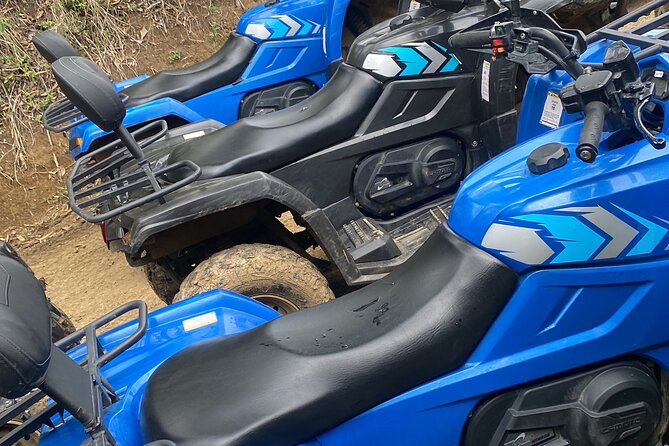 Full Day ATV Bush Trail and Water Sports Tour with Rick's Cafe - Who This Tour Is Best For (and Who Should Rethink It)