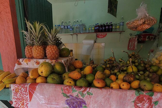Full-Day Guided Tour to Dunns River Falls & shopping with lunch - Climb the Cascade, or Take the Dry Walk for a Lower-Impact Plan