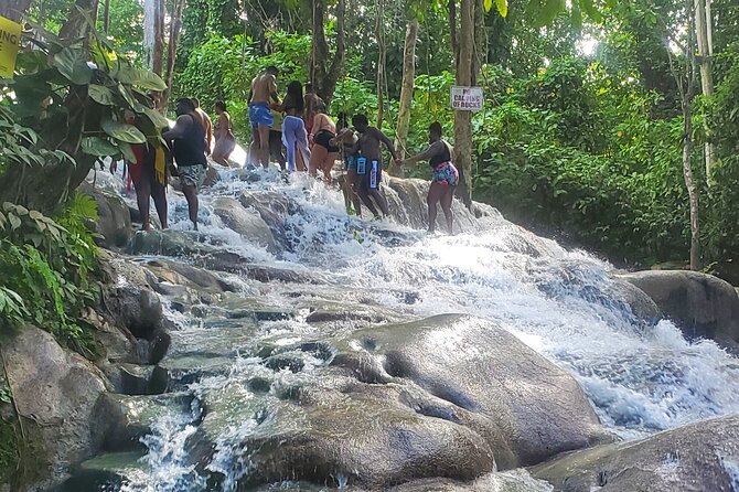 Full-Day Guided Tour to Dunns River Falls & shopping with lunch - Tour Guides Make the Day Feel Organized, Especially on a Busy Attraction