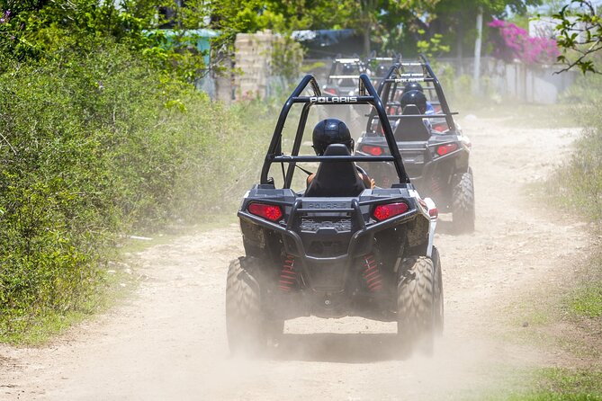 Full Day Jamwest Adventure Park with Welcome Drink - Price and Value: Is $95 Worth It in Montego Bay?