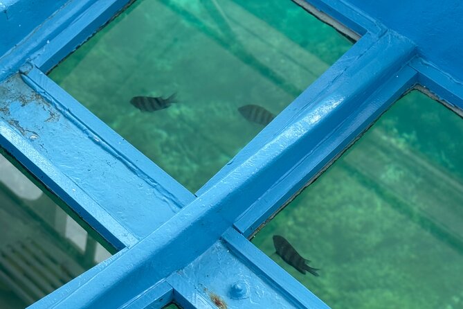 Glass bottom Boat Tour and Snorkeling Experience in Montego Bay - What’s included: bottled water, WiFi, private transport, and a live guide