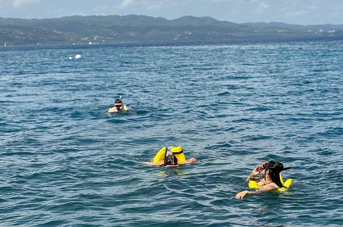 Glass bottom Boat Tour and Snorkeling Experience in Montego Bay - Practical considerations before you go