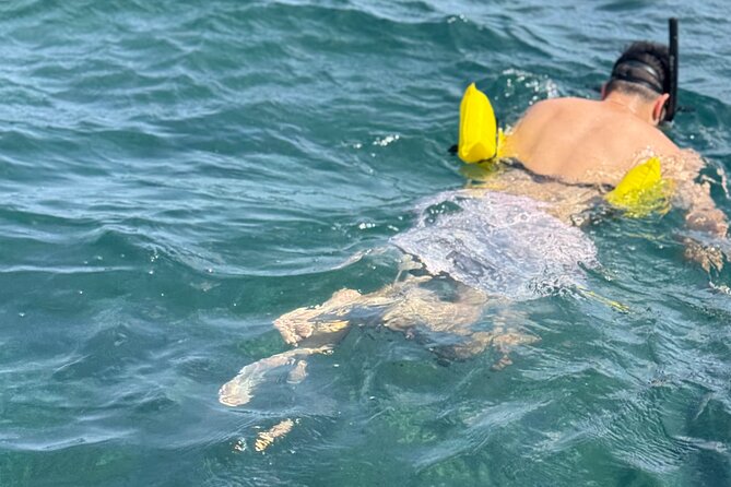 Glass bottom Boat Tour and Snorkeling Experience in Montego Bay - The 2-hour flow, including transport time